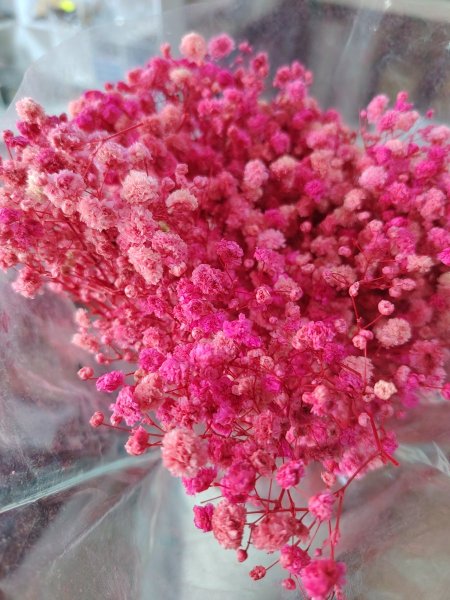 ورد جبسوفيلا مجفف