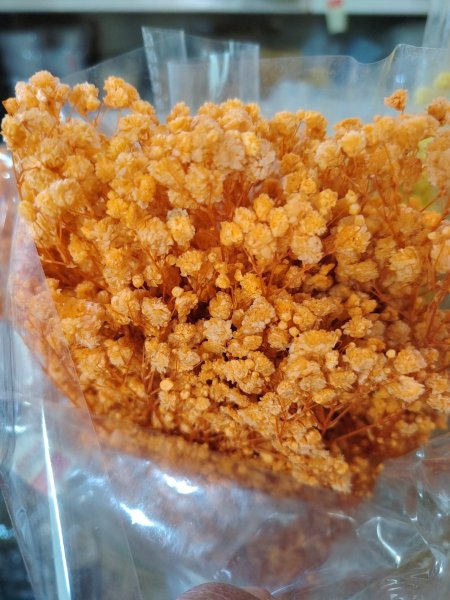 ورد جبسوفيلا مجفف