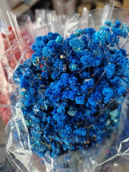 ورد جبسوفيلا مجفف