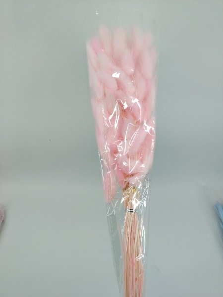 ورد ذيل الأرنب