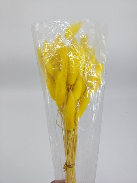 ورد ذيل الأرنب