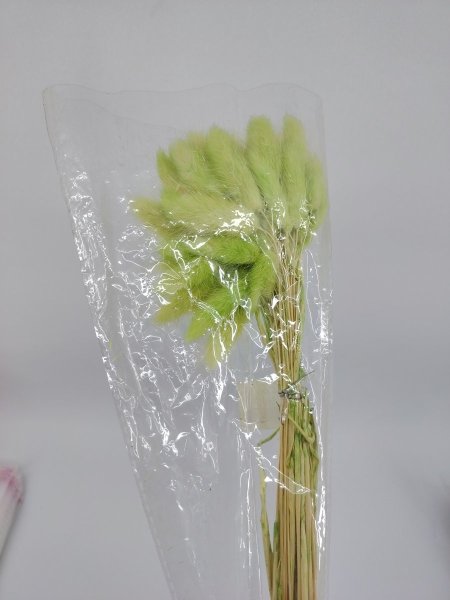 ورد ذيل الأرنب