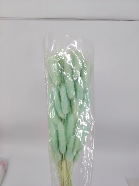 ورد ذيل الأرنب