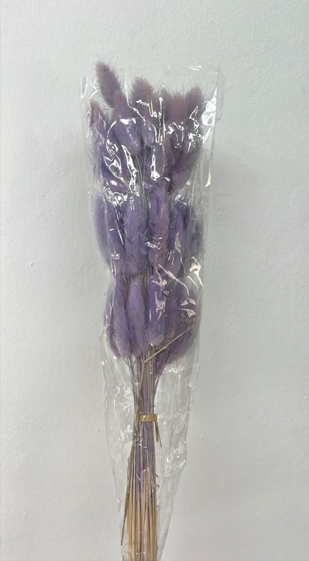 ورد ذيل الأرنب