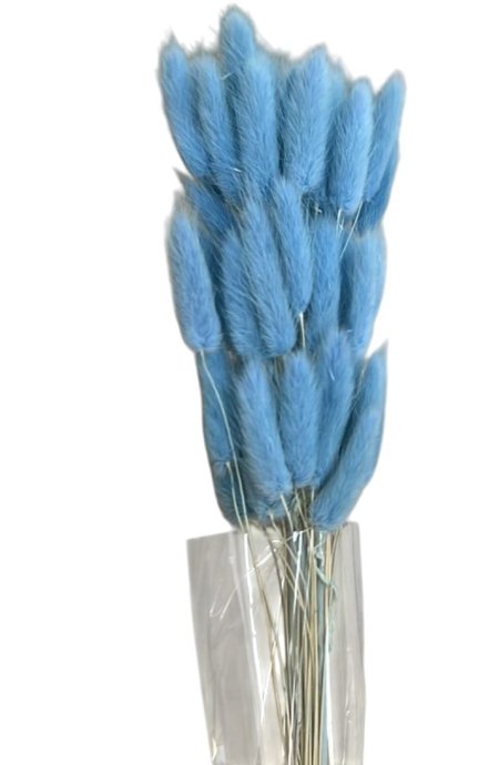 ورد ذيل الأرنب