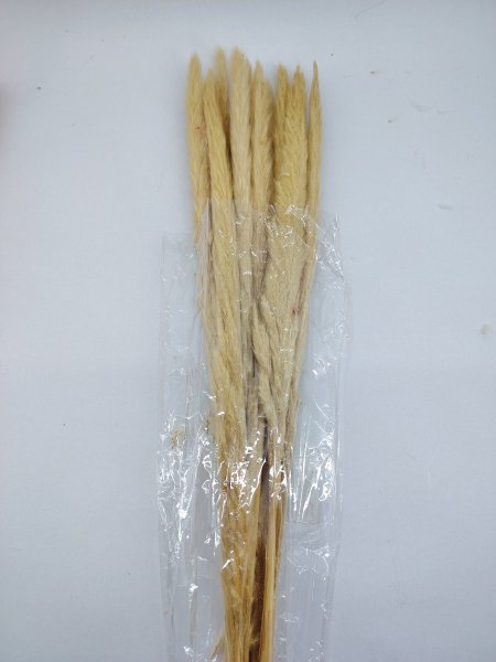 ورد البامباس