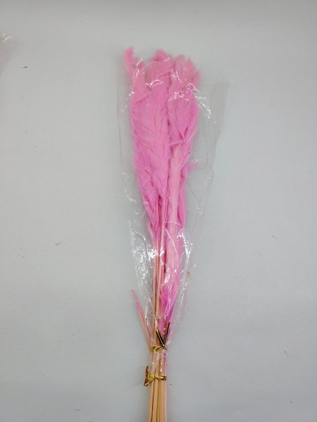 ورد البامباس