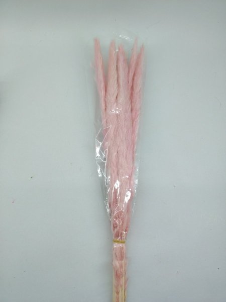 ورد البامباس