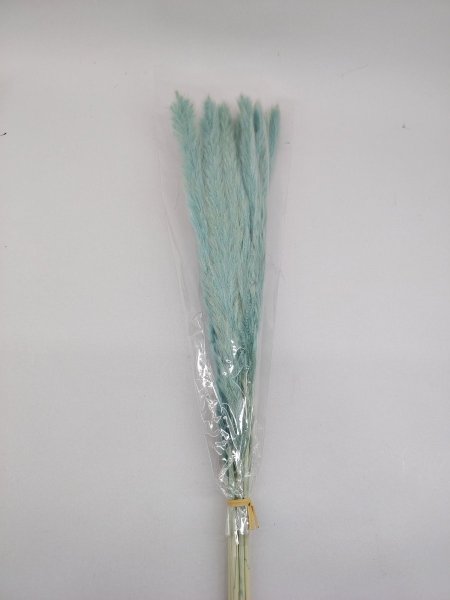 ورد البامباس