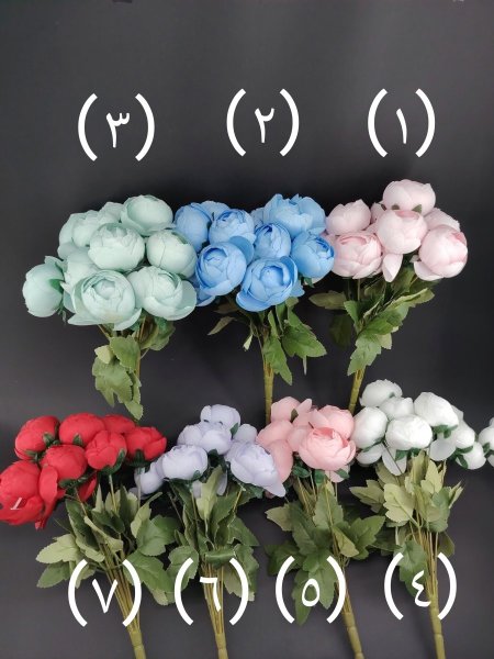 ورد (بيوني وسط) 12 عرق