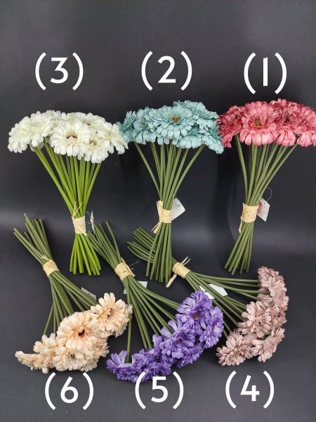 ورد ( جيربرا) 13 عرق