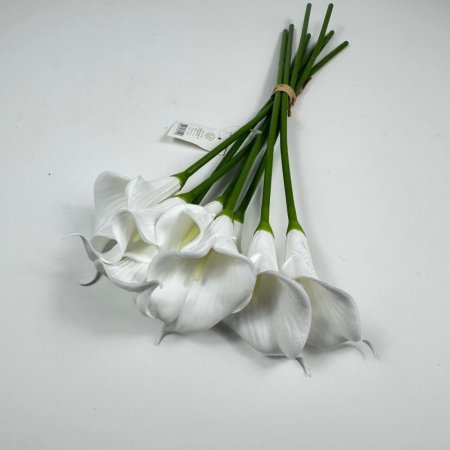 ورد ( الكالا)