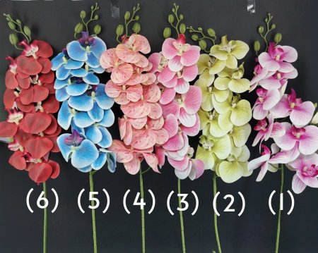 ورد (اوركيدا)