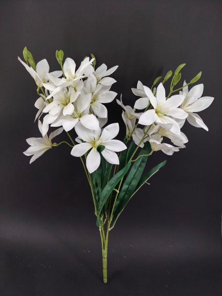 ورد (ياسمين) سلكون