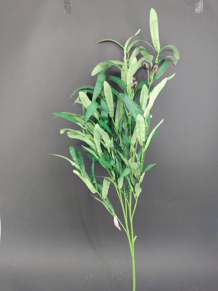 عرق (زيتون) كبير