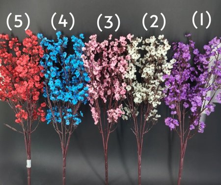 عرق (اللوز) حجم كبير