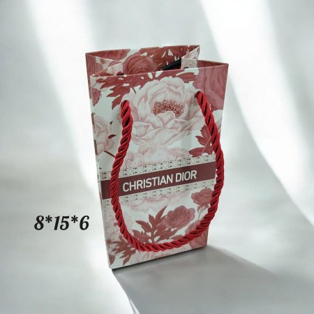 أكياس Dior _8*15*6