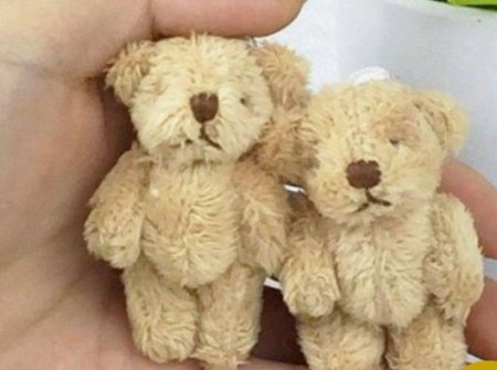 دب فرو حجم 6 سم