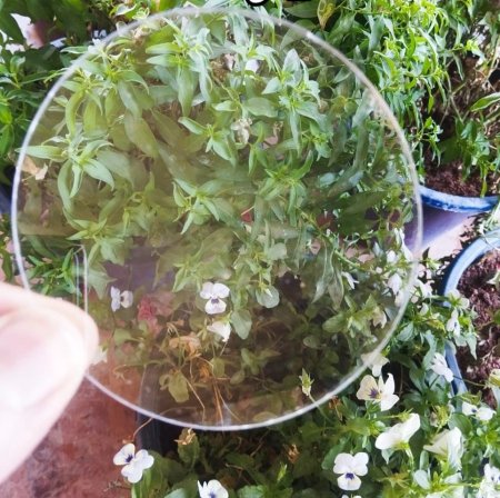 كوستر اكريلك شفاف مدور 10 سم