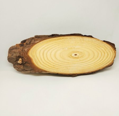 كوستر خشب طبيعي ( للحفر)